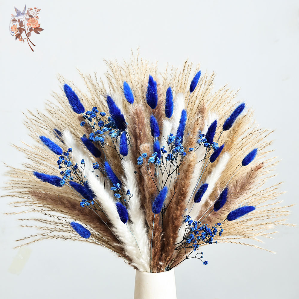 70 Gałązek Niebieskiego Puszys – Pampas Grass Decor recenzja i cena