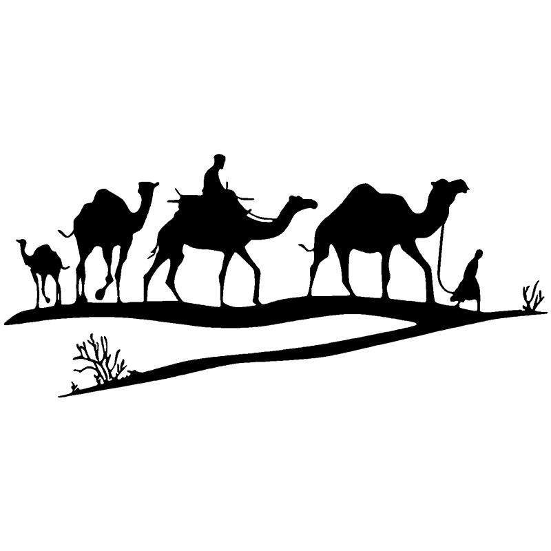 Desert by Camel naklejki ścien – Home Decor Vinyl Flooring recenzja i cena