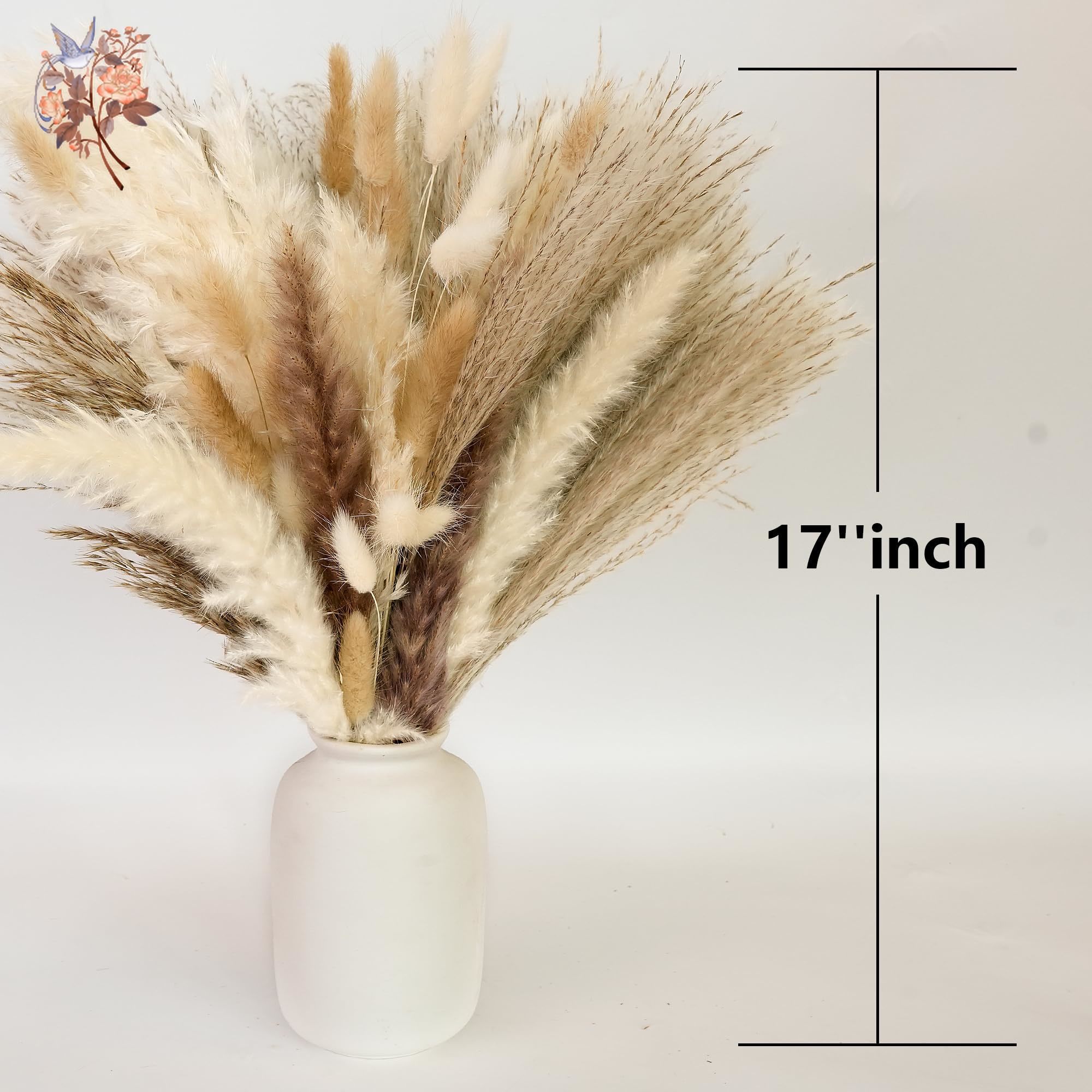 300 szt. Naturalnych, dużych b – Pampas Grass Decor recenzja i cena