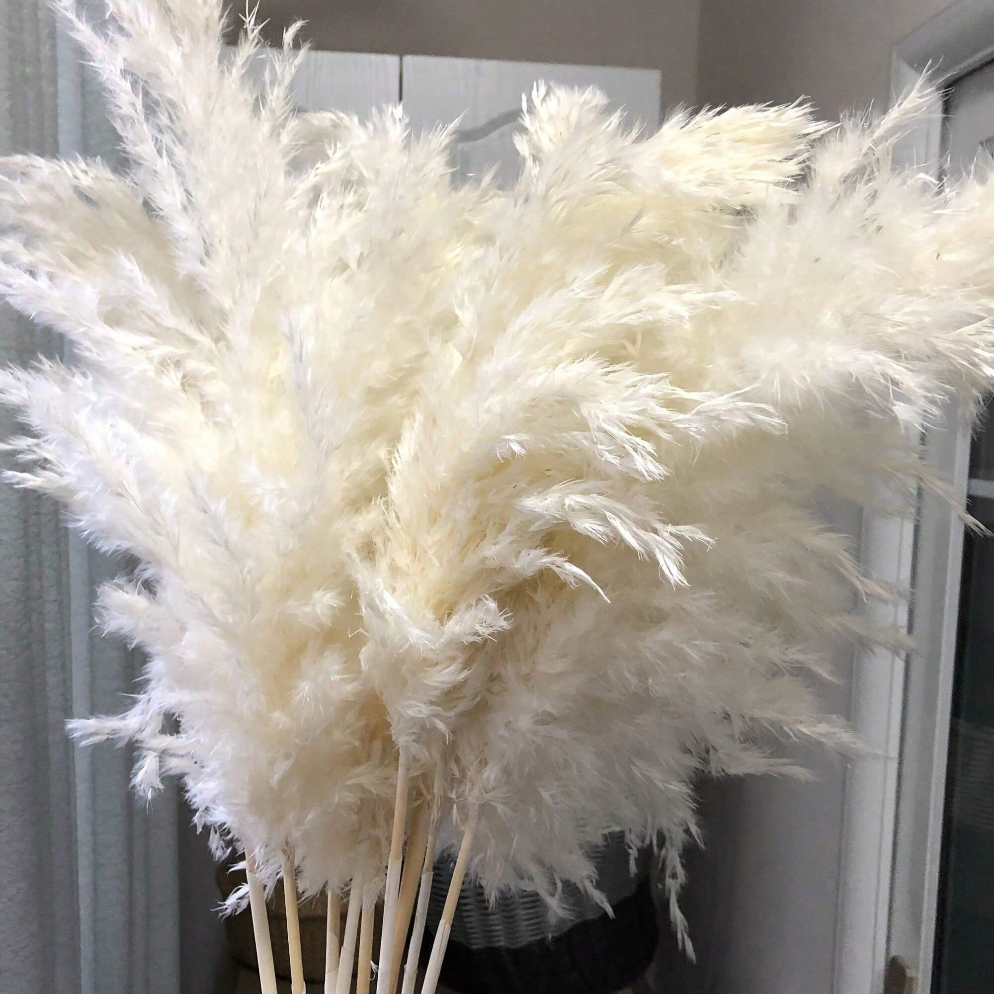 10/20/30 szt. Białe Sztuczne T – Pampas Grass Decor recenzja i cena