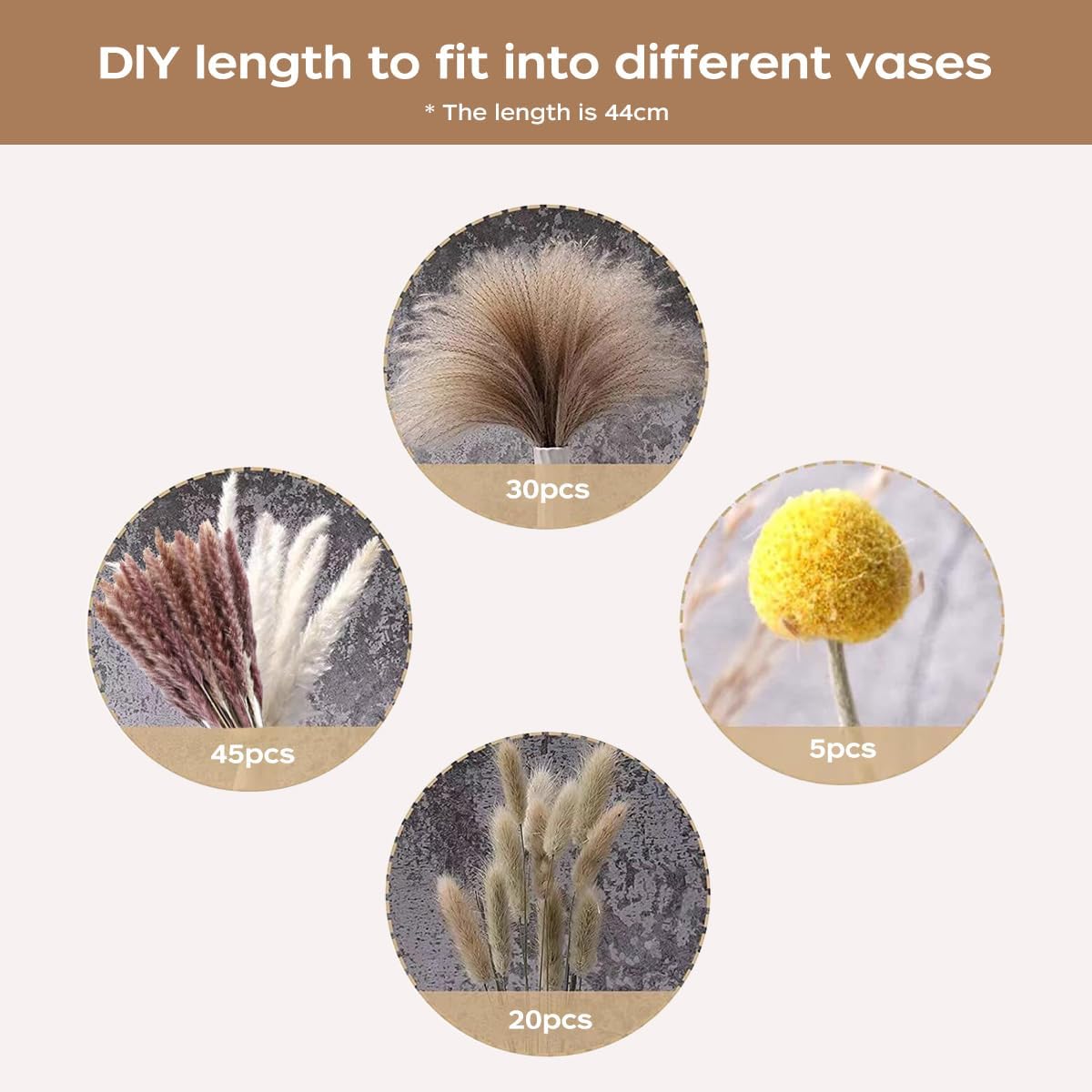 Suszone trawy pampasowe, natur – Pampas Grass Decor recenzja i cena