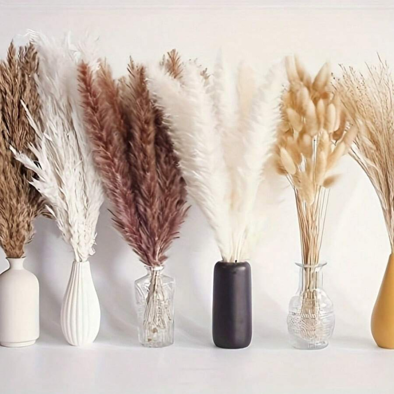 110 szt. Suszone trawy pampaso – Pampas Grass Decor recenzja i cena