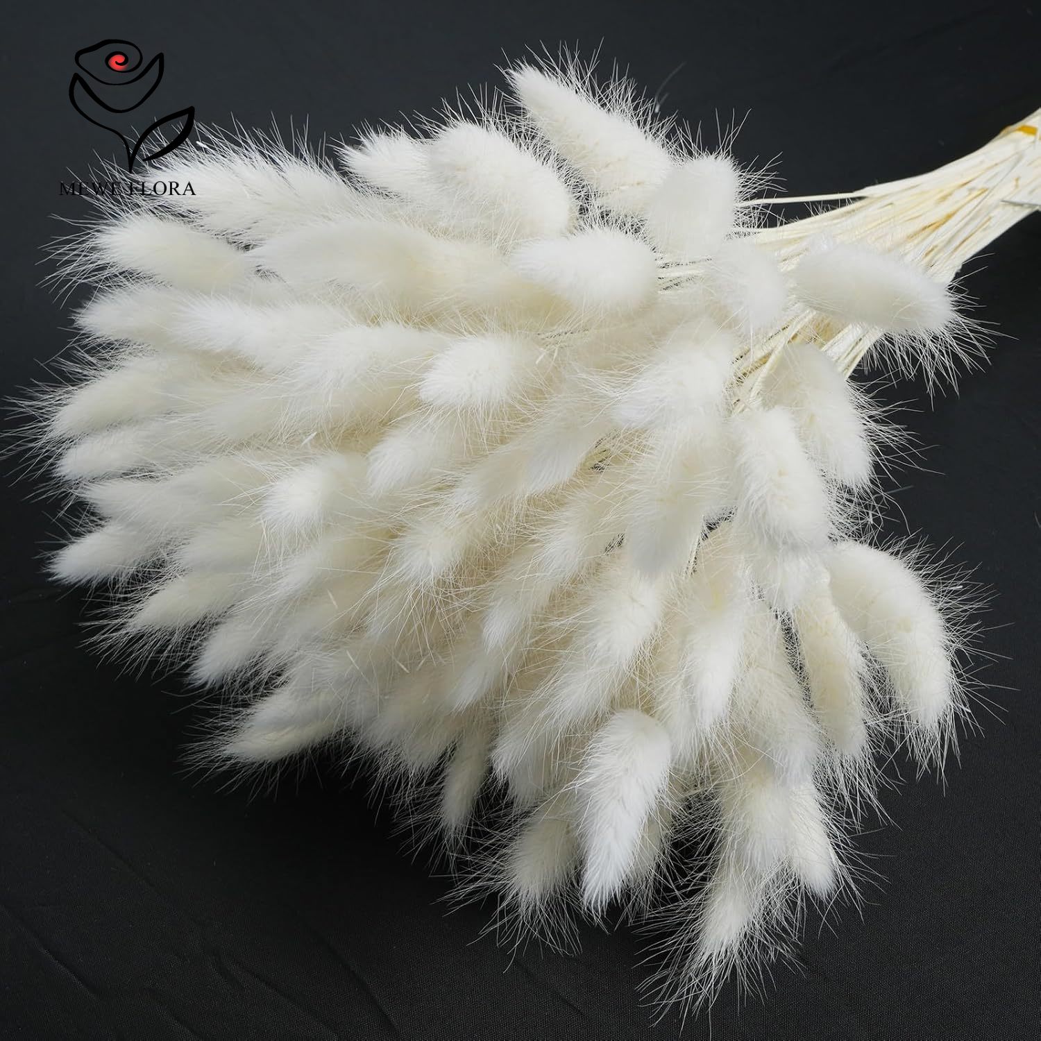 150 SZTUK Białe Naturalne Pusz – Pampas Grass Decor recenzja i cena