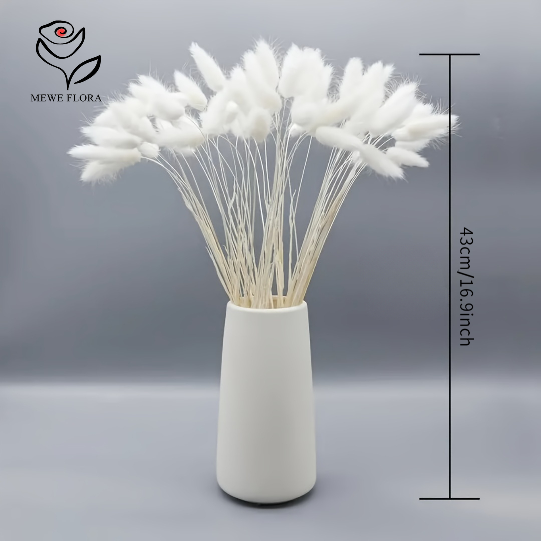 150 SZTUK Białe Naturalne Pusz – Pampas Grass Decor recenzja i cena